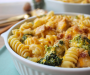 Chicken Broccoli Pasta Casserole Recipe (Easy & Quick)