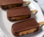 Chocolate Peanut Butter Low Carb Ice Cream Bars (Keto)